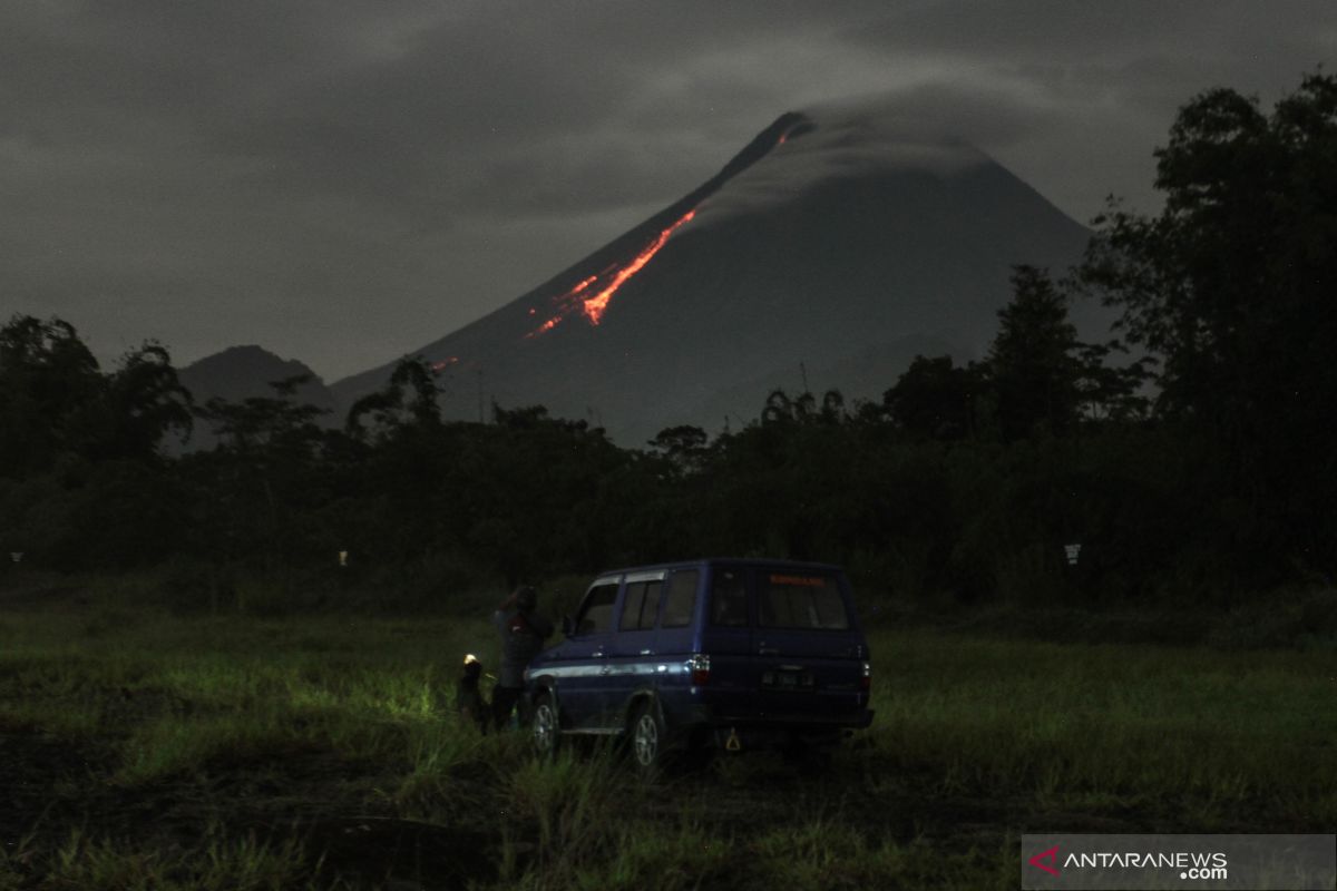 Forest restoration following Mount Merapi eruption to take few years