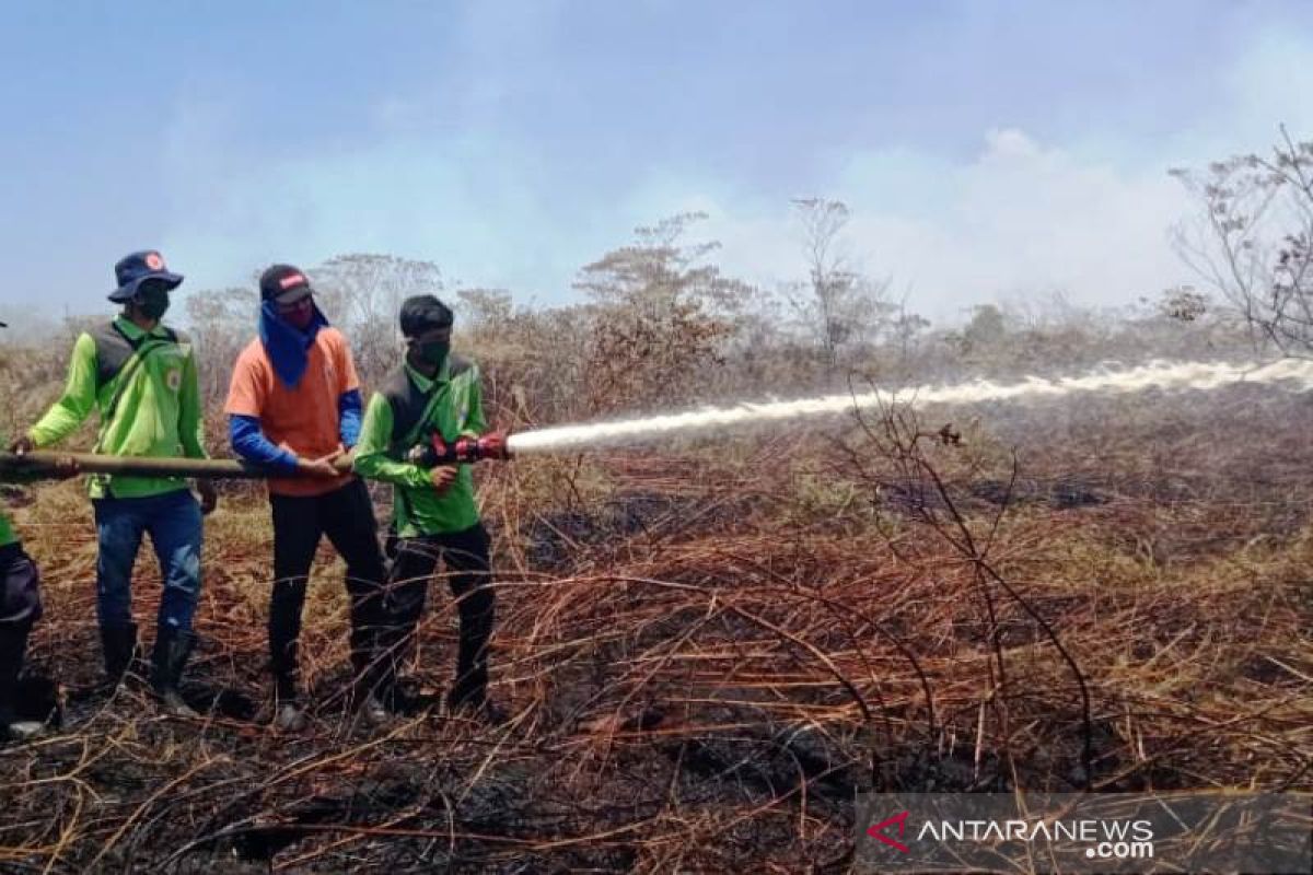 Luas lahan gambut terbakar di Nagan Raya mencapai enam hektare
