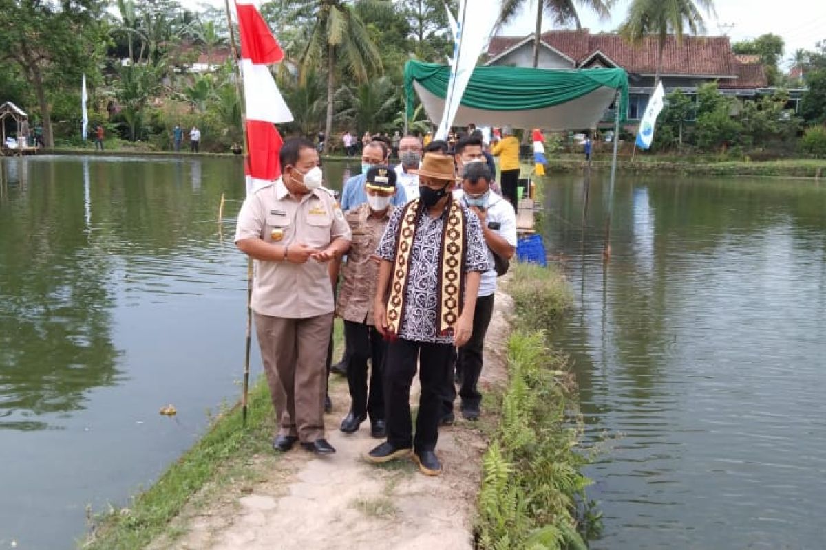 Pringsewu merupakan sentra utama perikanan di Lampung