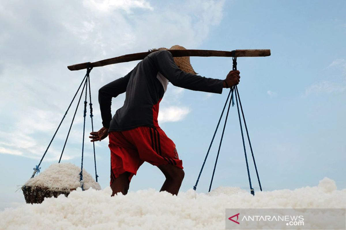 KKP: Perlu pemetaan tambak garam di Pulau Madura
