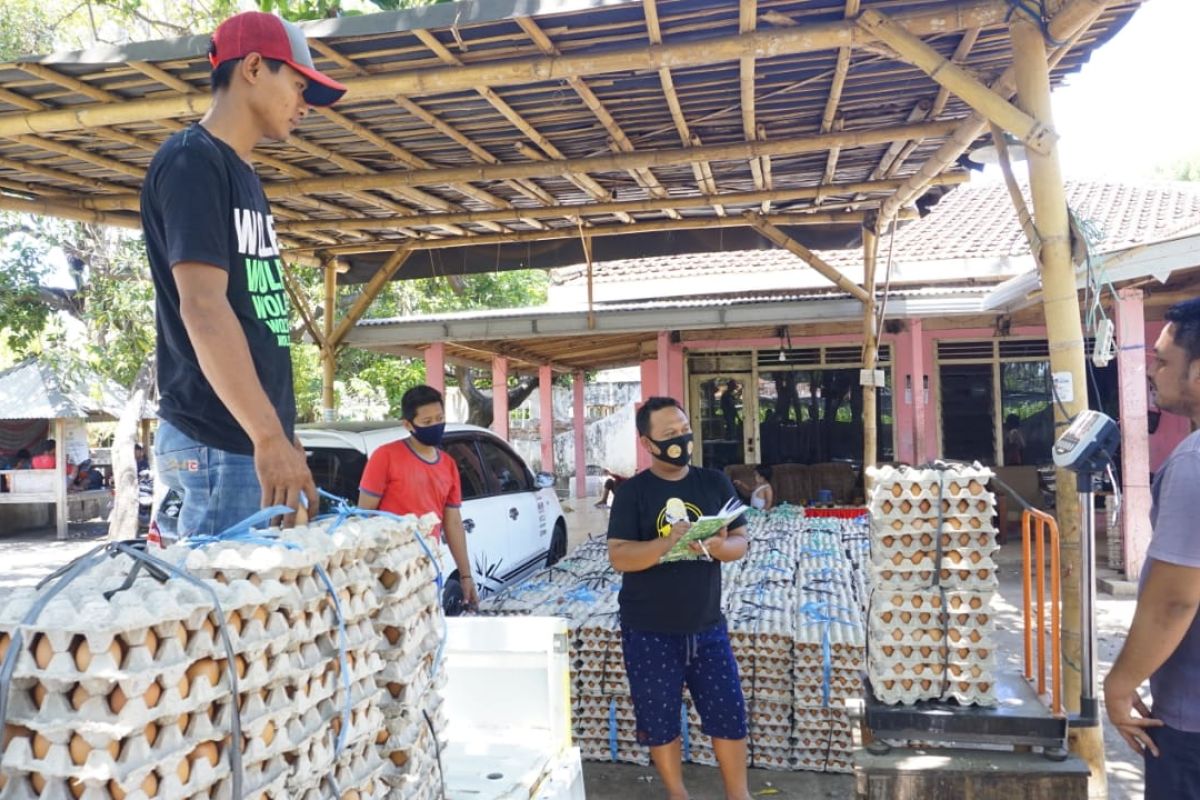 BRI terus jaga kualitas penyaluran kredit selama  COVID-19