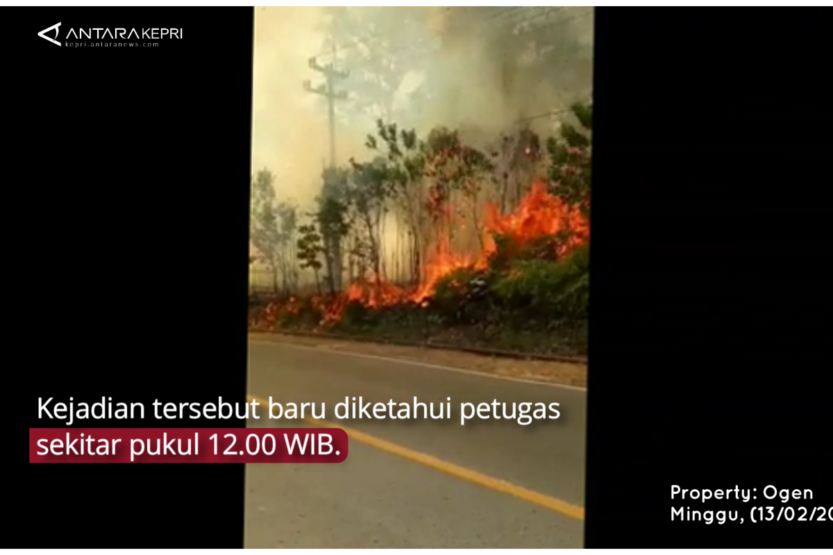 Info terkini: Kebakaran hutan di Kecamatan Gunung Kijang