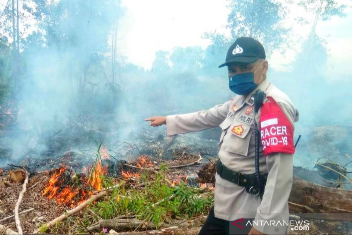 Polisi selidiki kebakaran lahan di Palangka Raya