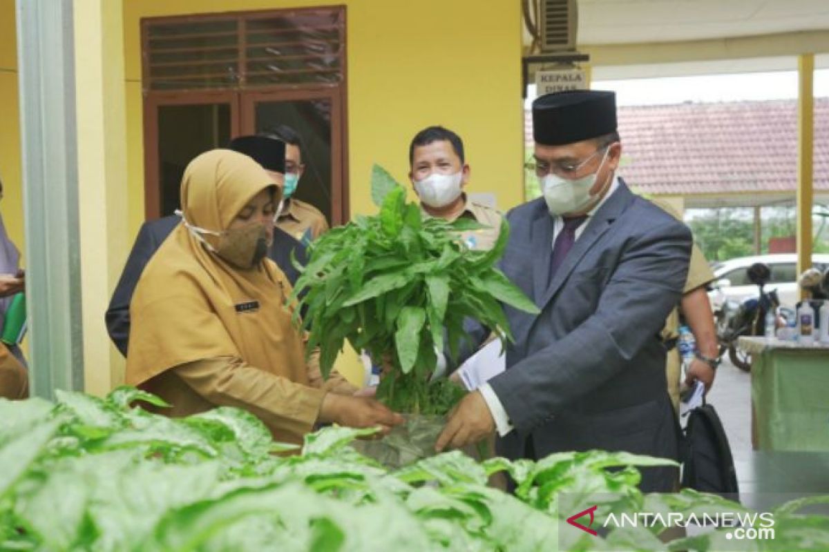 Gubernur Erzaldi panen bayam organik di Dinas Pertanian Bangka Tengah