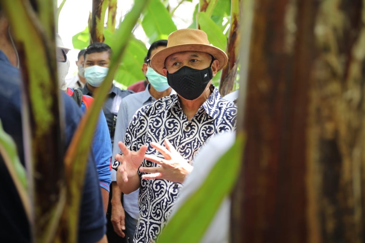 Menkop UKM puji kemitraan Koperasi Tani Hijau Makmur