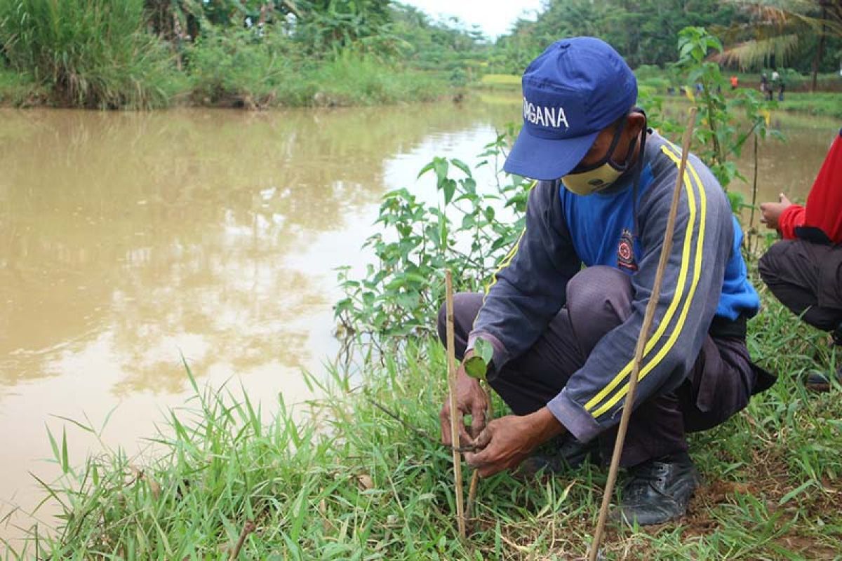 Tagana Banyumas ajak masyarakat lestarikan tanaman mangrove