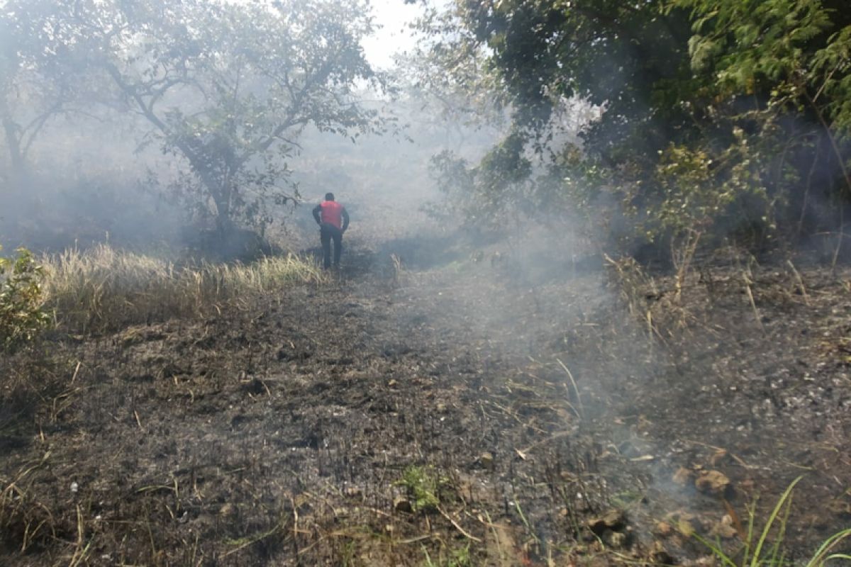 1,5 hektare lahan ilalang terbakar di Lhokseumawe