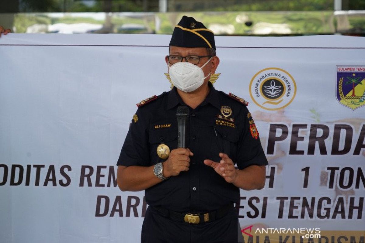 Bea Cukai Palu sita satu juta batang rokok ilegal di Tolitoli