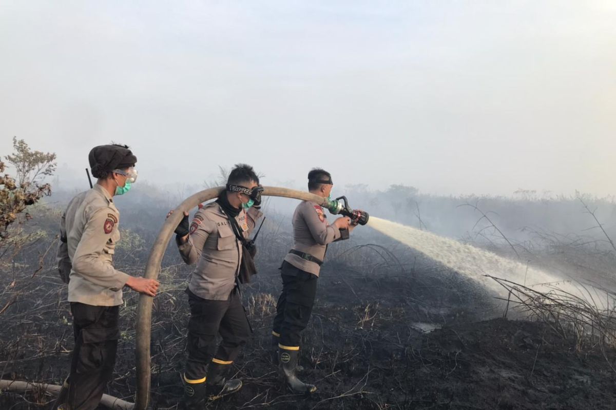 Polisi tetapkan delapan tersangka perorangan kasus Karhutla