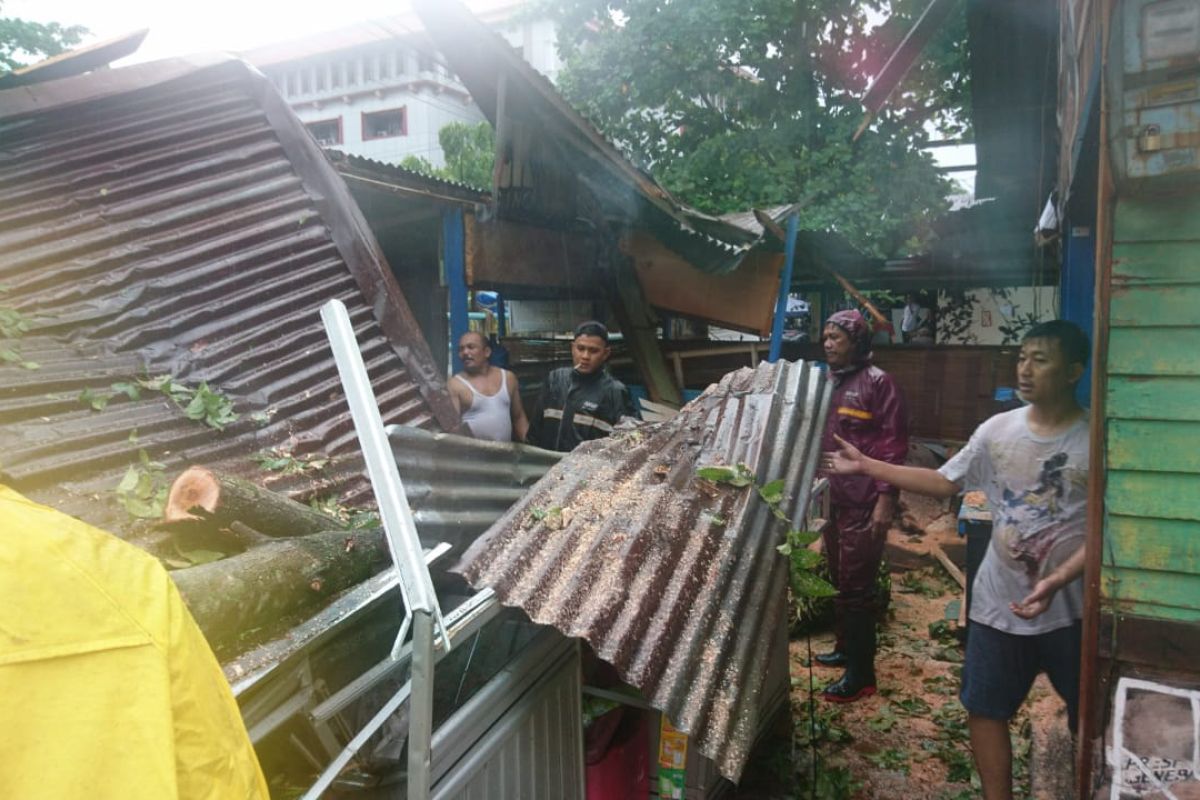 Pohon tumbang terjadi di 21 titik di Padang