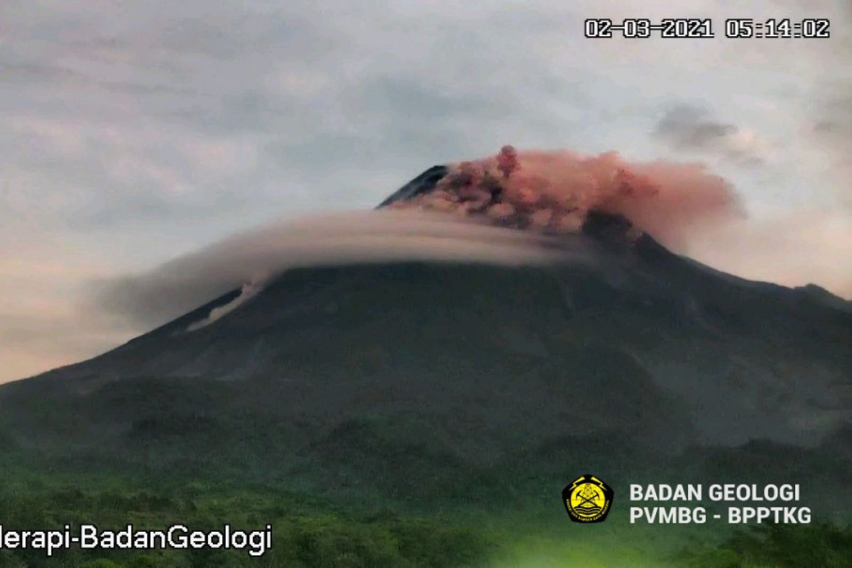 Hot clouds billowing from erupting Mount Merapi spread 1.9 kilometers