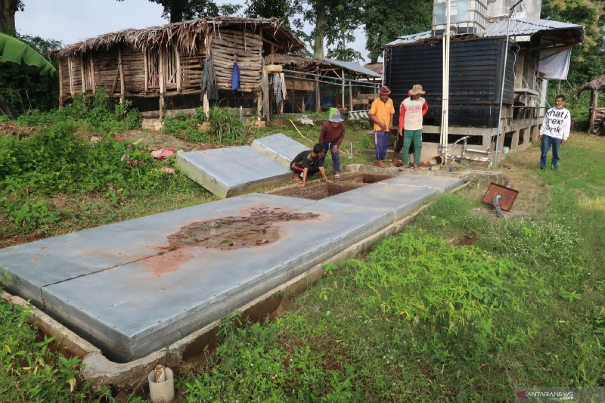 Setrum hijau di tengah ladang