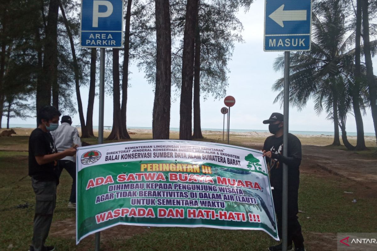 Buaya menyerang penumpang sepeda motor