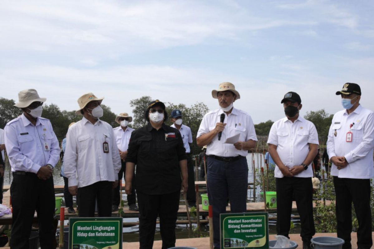 Pandjaitan launches program to revive mangroves