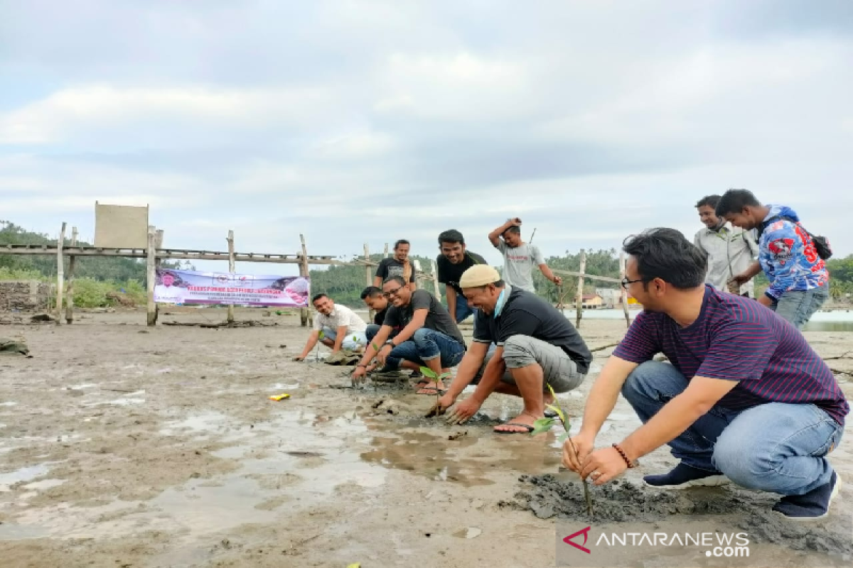 Cegah abrasi, senator dan pemuda tanam ratusan pohon bakau di Pulau Aceh