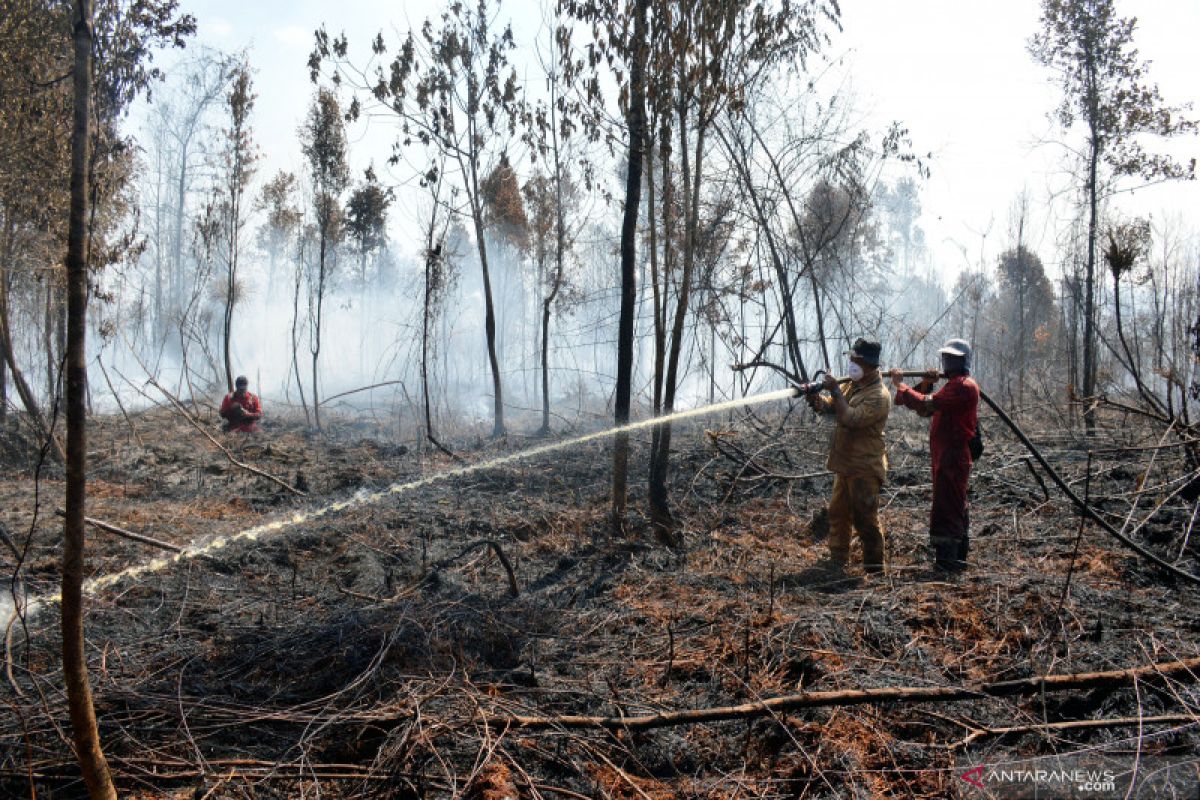 BBKSDA Riau butuh bantuan heli untuk padamkan kebakaran cagar biosfer