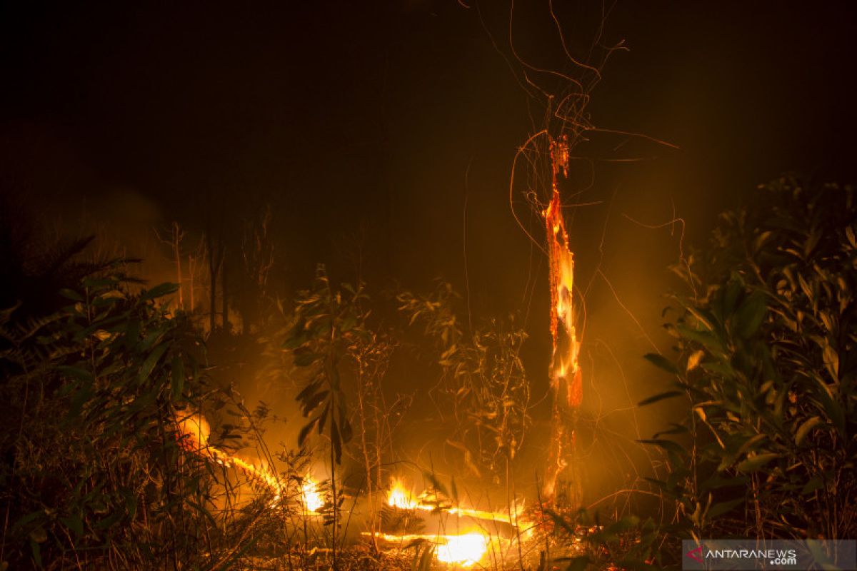 Riau sediakan alat berat untuk masyarakat buka lahan tanpa bakar, begini syarat peminjamannya