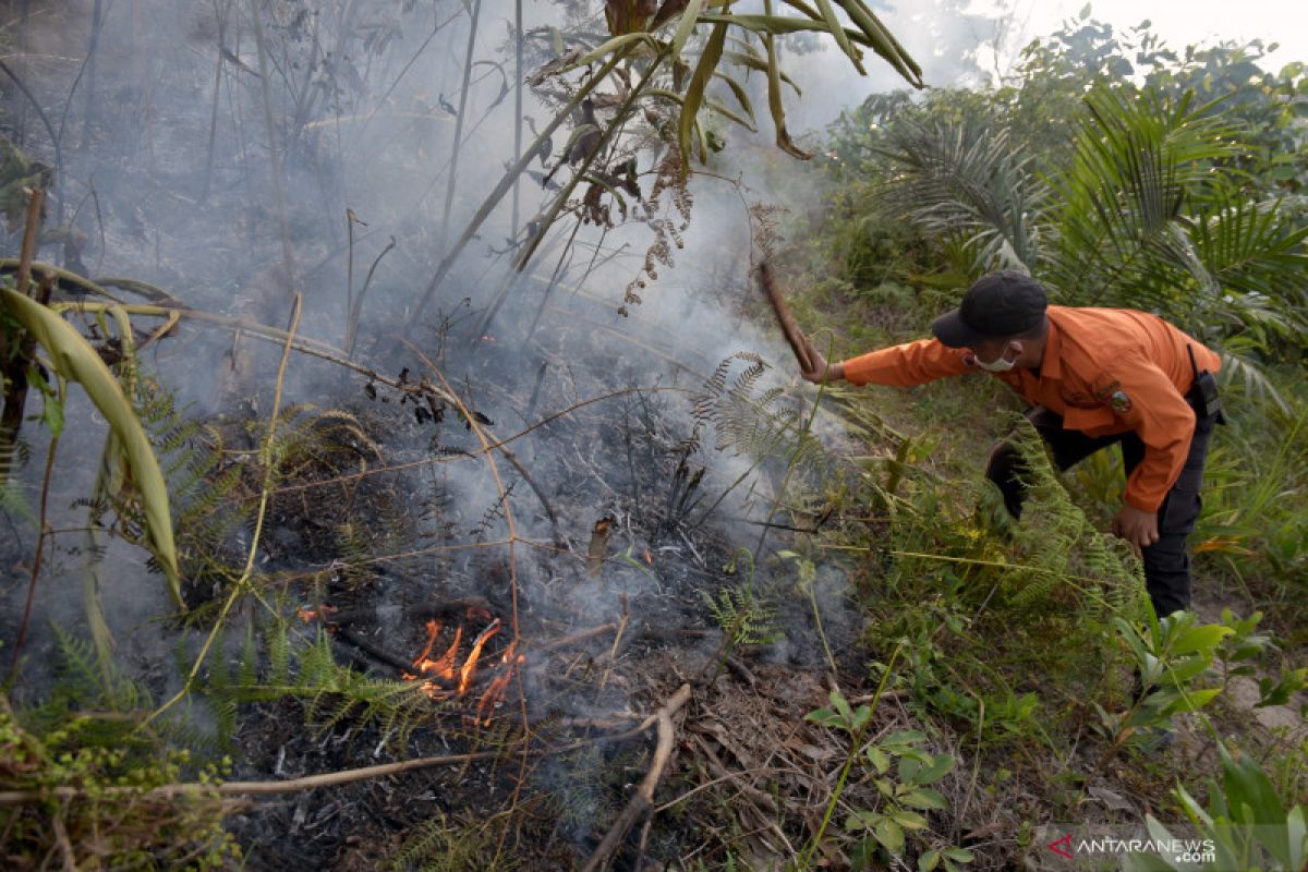 Tim gabungan kesulitan air padamkan kebakaran hutan lindung Chevron