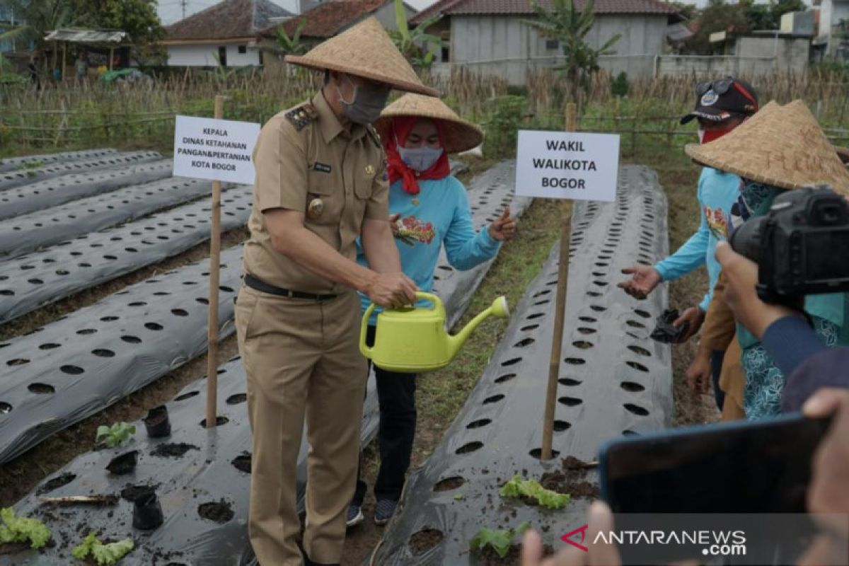 Pemkot Bogor dorong warga kreatif manfaatkan lahan jadi urban farming