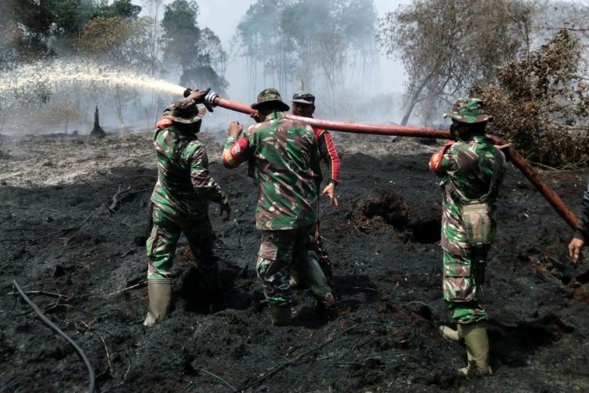 Lima hektare lahan di Kecamatan Teluk Belengkong terbakar
