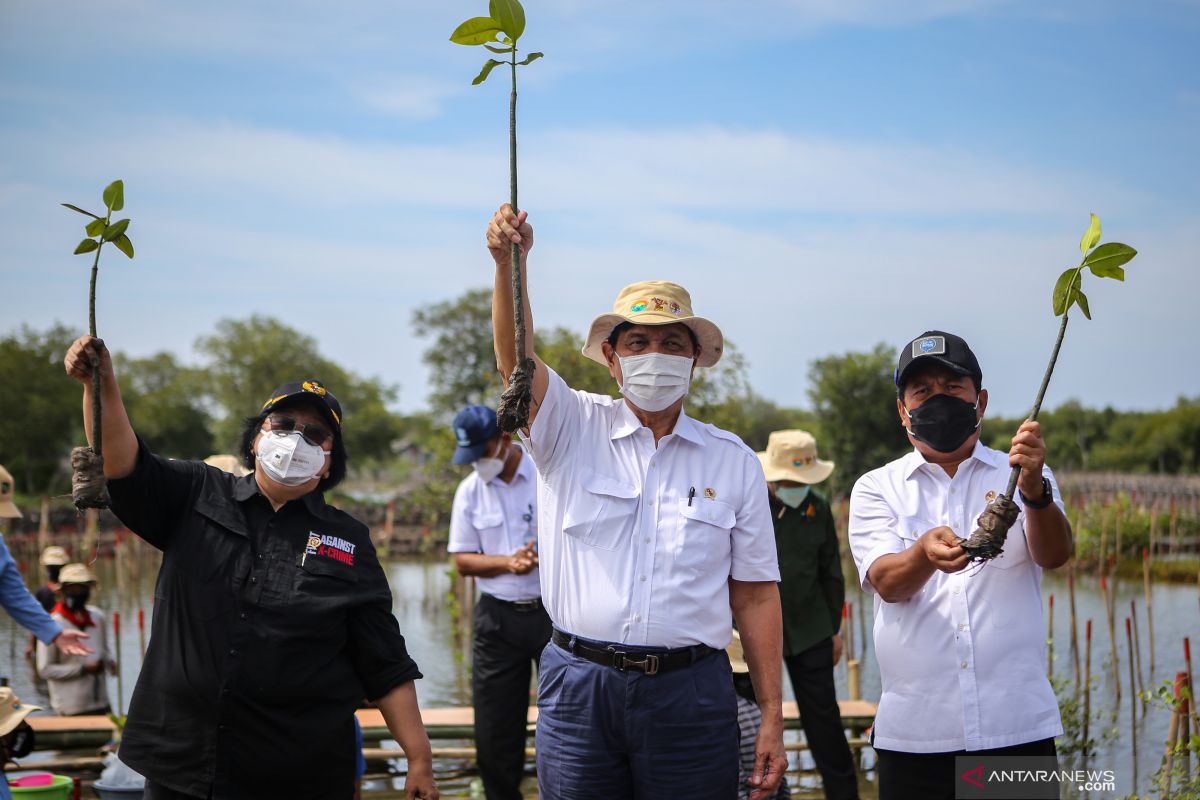 Conserve mangroves in tsunami-prone villages, minister