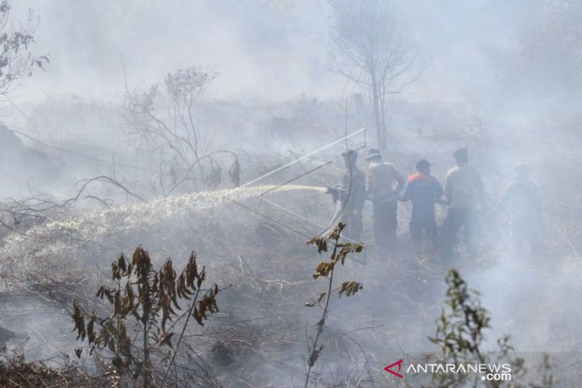 Kebakaran 5,5 hektare lahan gambut di Aceh Barat mulai padam