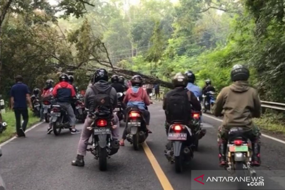 BPBD Gunung Kidul imbau masyarakat waspadai angin kencang