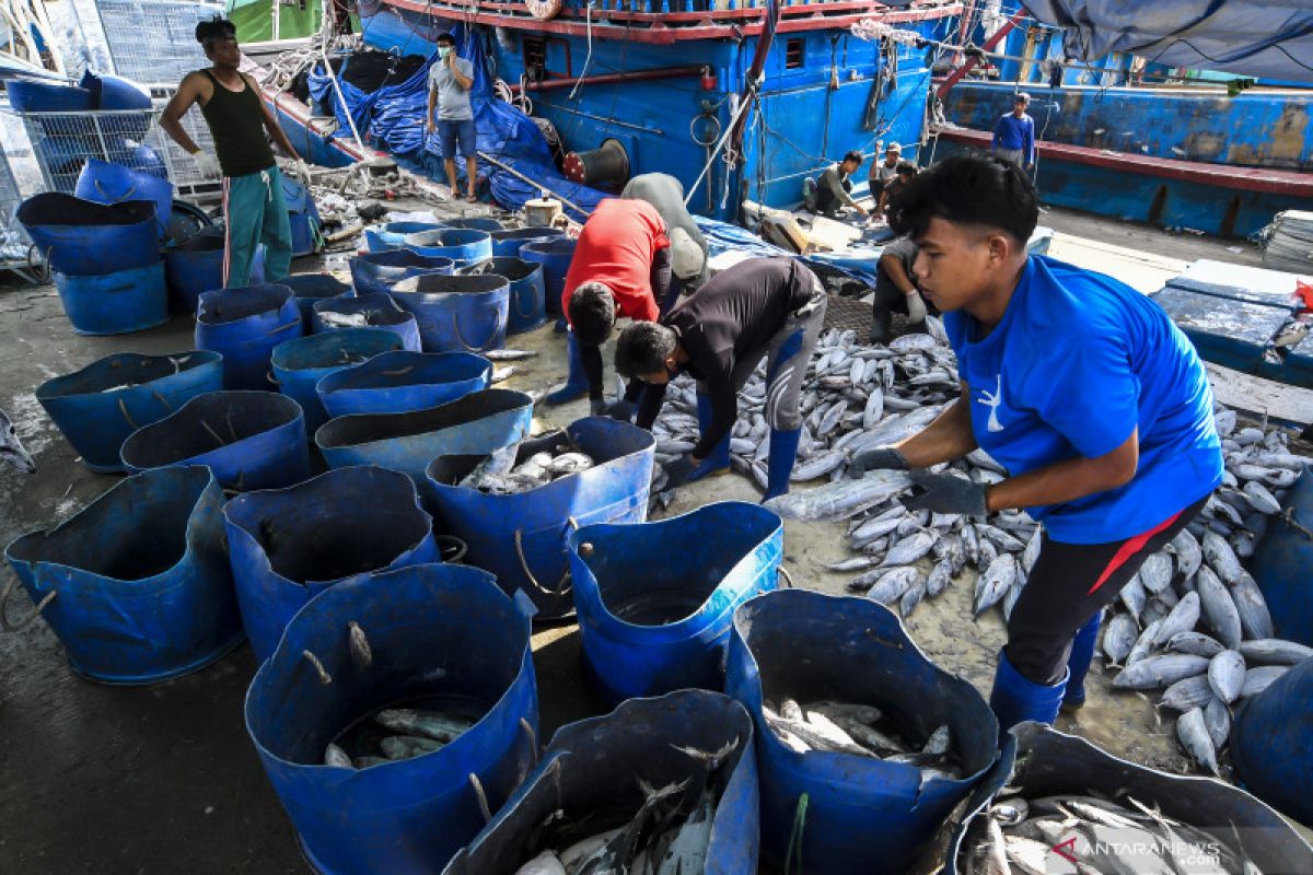 Pemerintah perlu integrasikan regulasi terkait awak kapal ikan