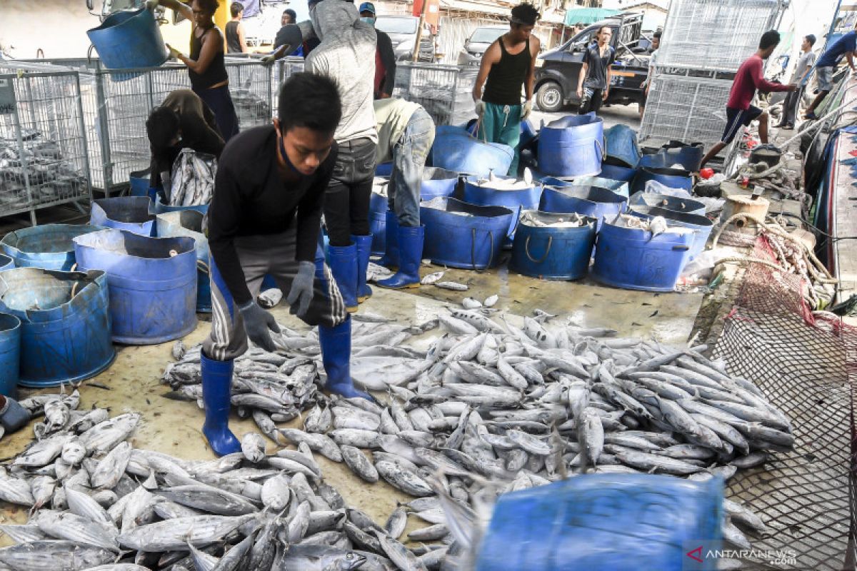 Pengamat: Manfaat naiknya PDB ekspor perikanan harus merata ke nelayan