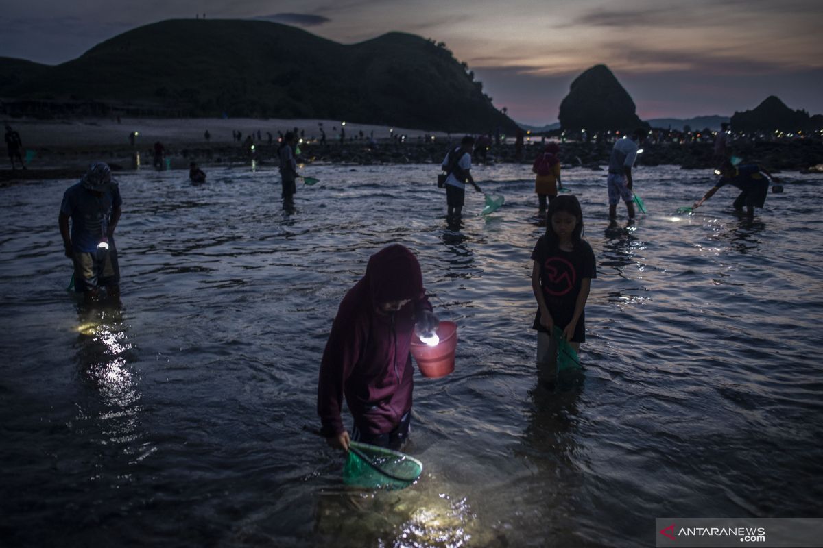 Acara puncak Bau Nyale dilaksanakan 20-21 Februari 2022 di Lombok