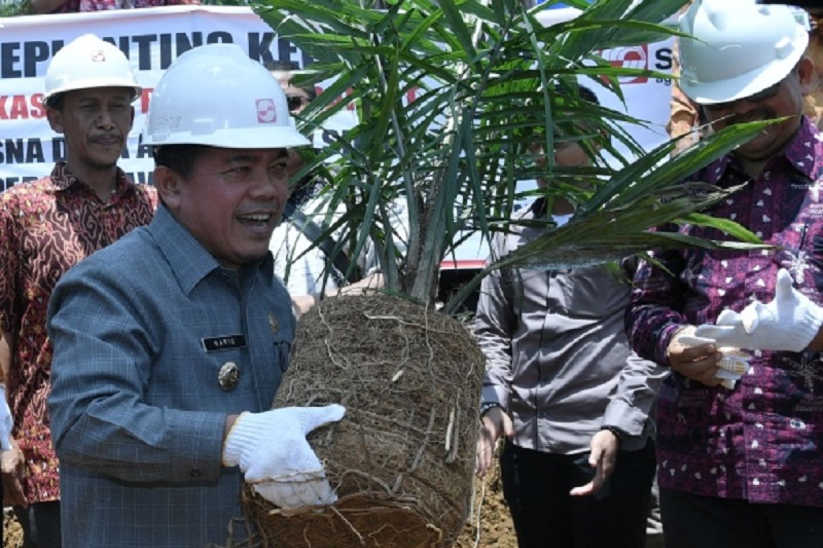 Merangin peroleh bantuan eskavator untuk mendukung program replanting sawit