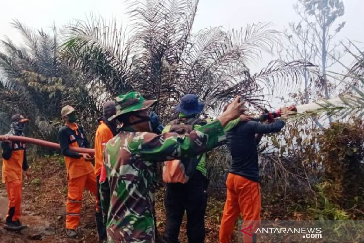 BPBA: Luas lahan terbakar di Nagan Raya Aceh menjadi 20,5 hektare