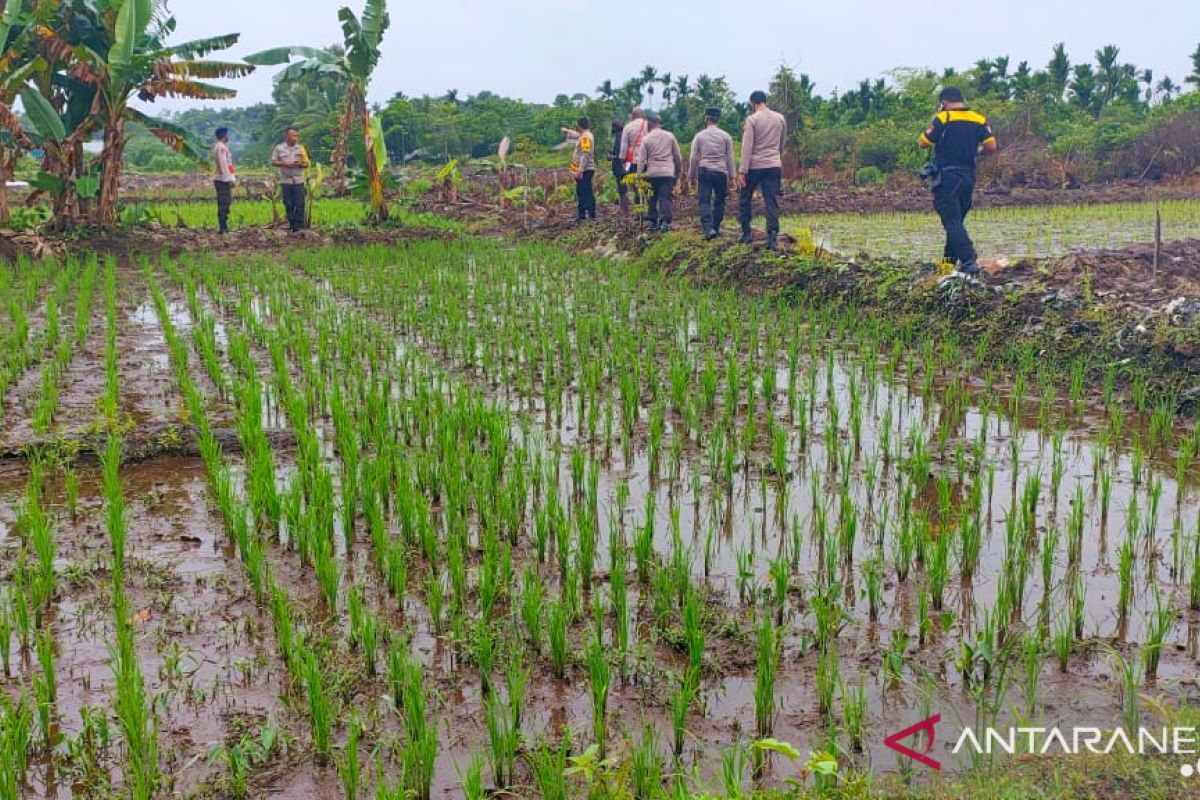 Polres Mimika lakukan pembinaan petani Kampung Mulia Kencana
