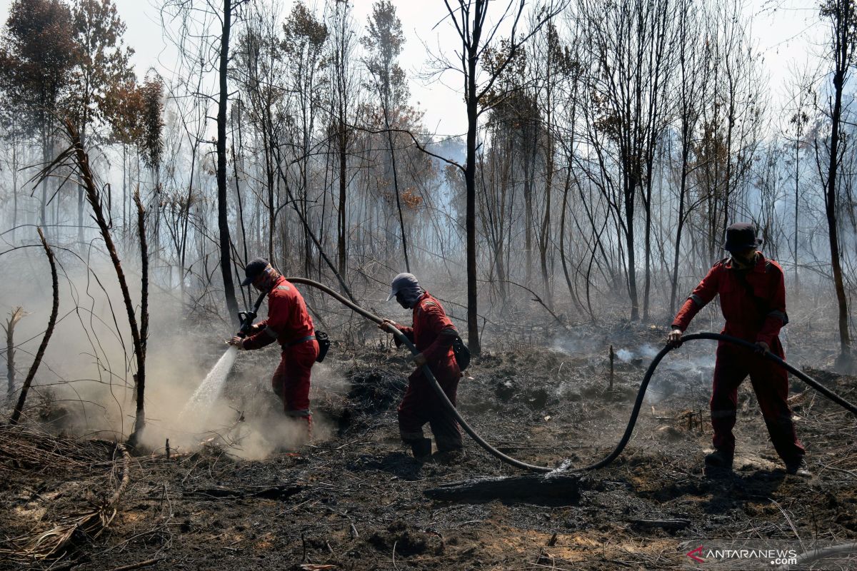 Cuaca panas dan angin hambat pemadaman kebakaran Cagar Biosfer Riau, begini penjelasannya