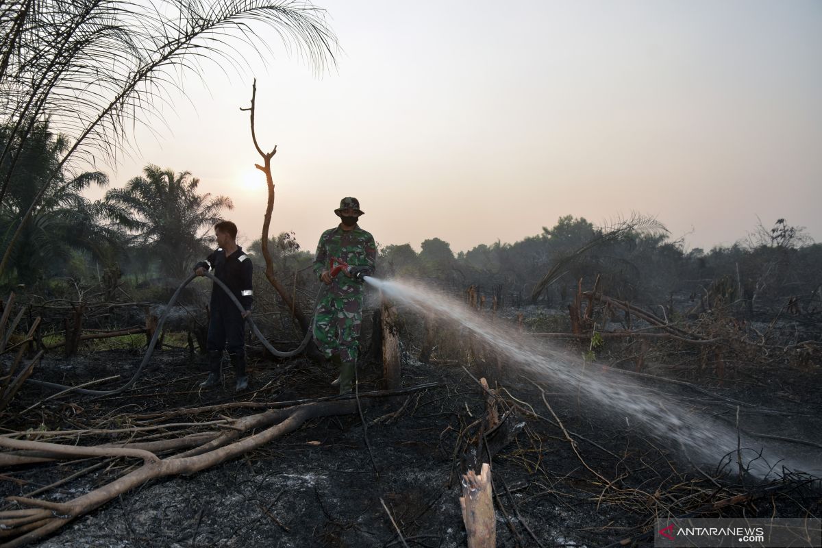 Daerah rawan kebakaran hutan-lahan diminta waspada usai pancaroba