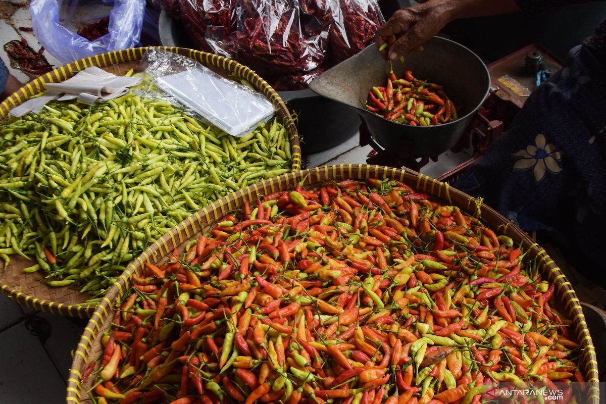 Kementan pastikan harga cabai segera turun