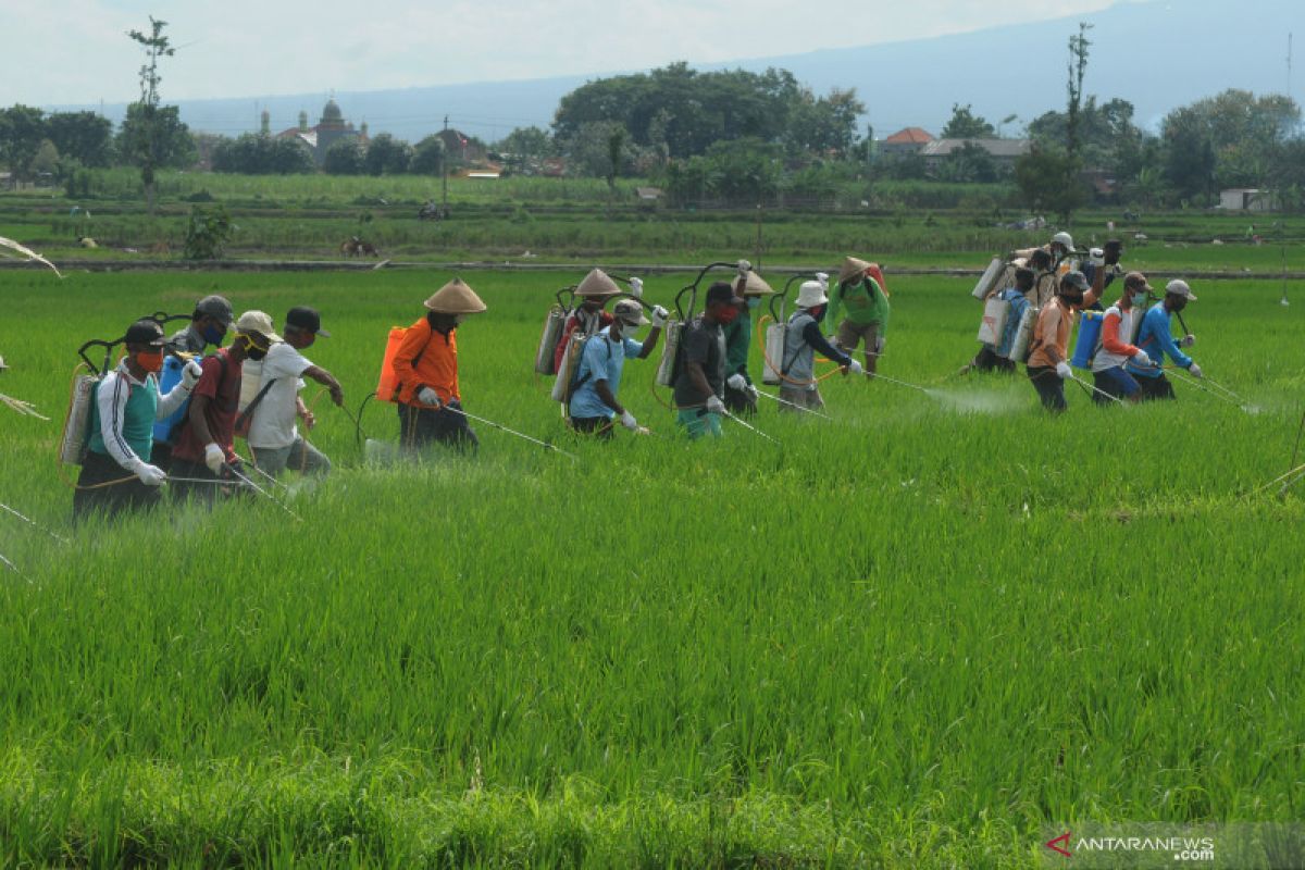 Anggota DPR: Pembangunan infrastruktur terkoneksi dukung pertanian