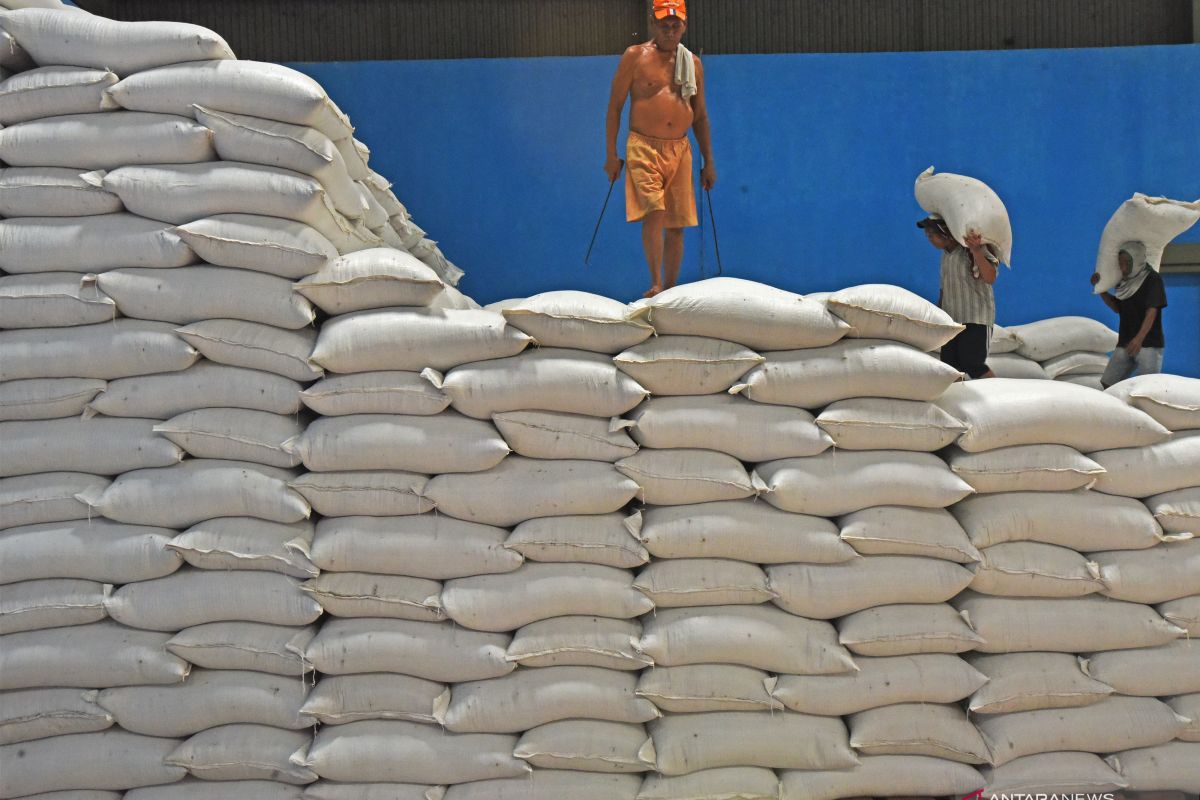 Pemerintah diminta tinjau kembali rencana impor beras