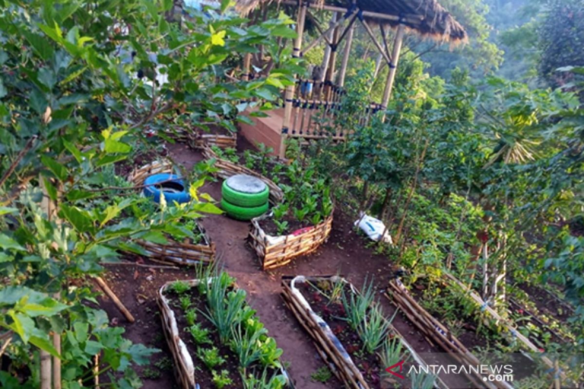 Perlu observasi sebelum berkebun pada musim hujan