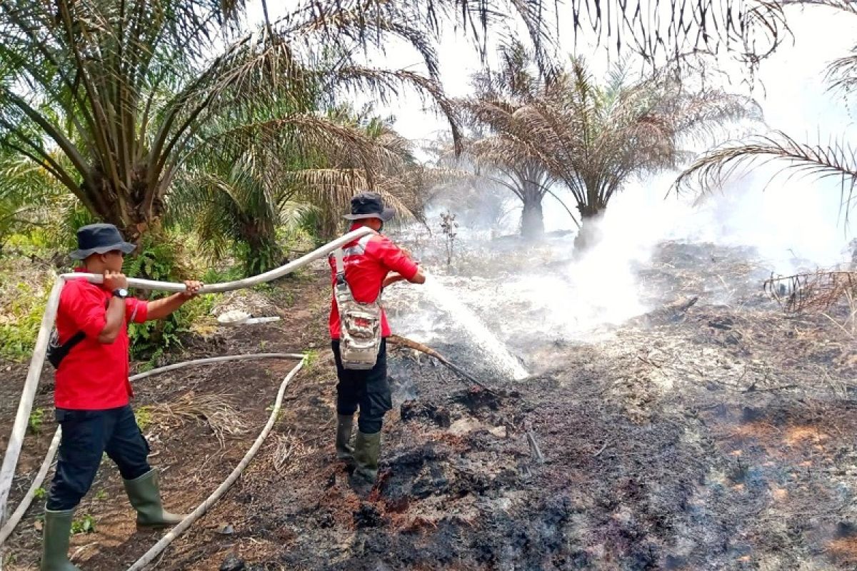 Satgas Karhutla Pelalawan padamkan titik api di Desa Sering