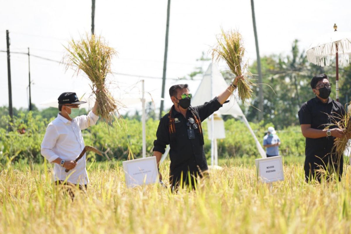 Pemerintah dorong pengembangan agrowisata di seluruh Indonesia