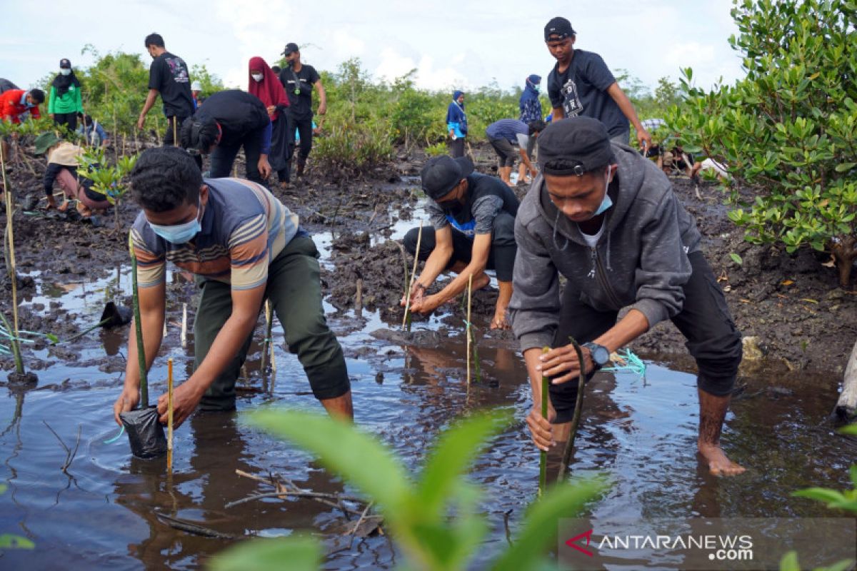 EcoNusa dan Cornell Lab kampanyekan pelestarian hutan Papua dan Maluku