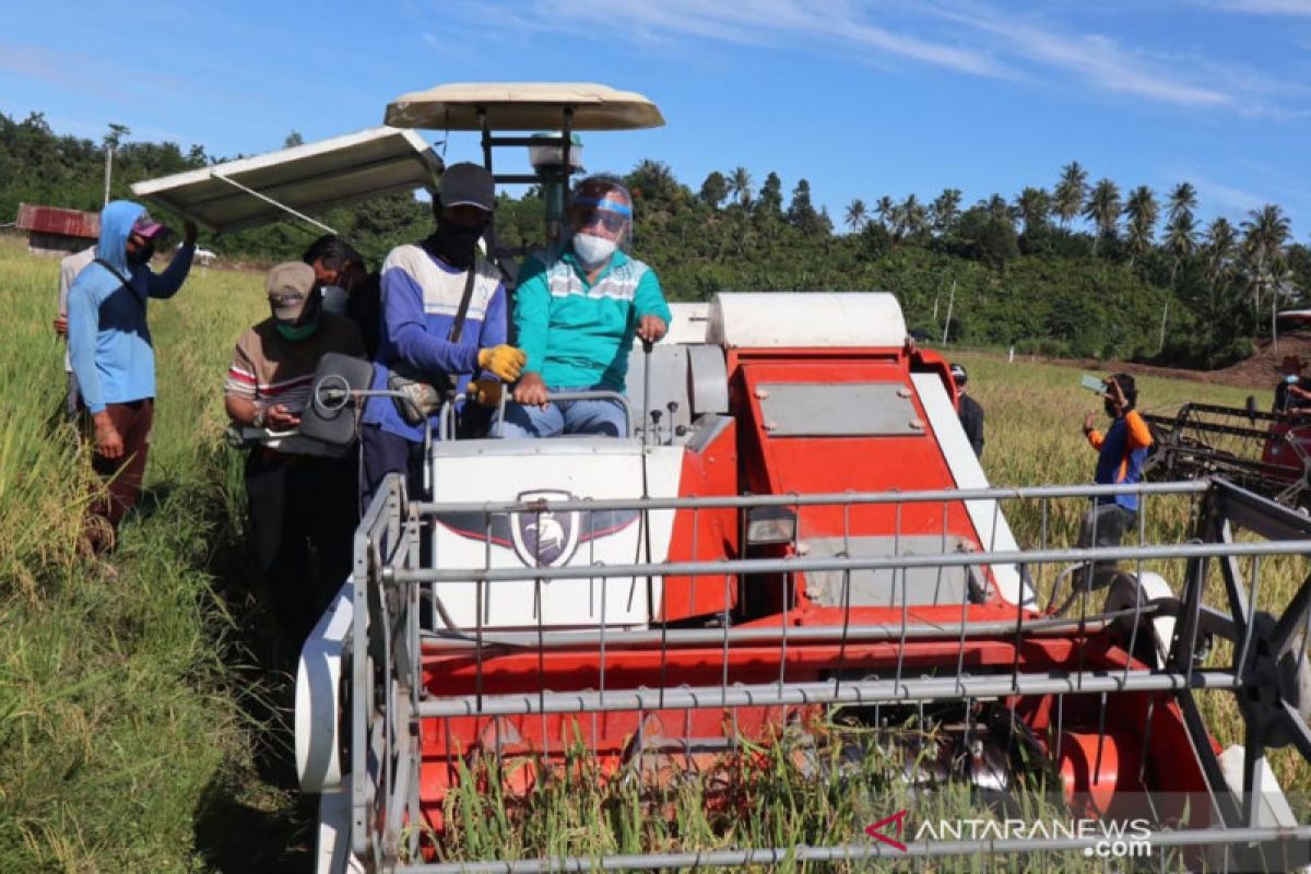 Pemkab Buol  salurkan bantuan senilai Rp21 miliar kembangkan pertanian