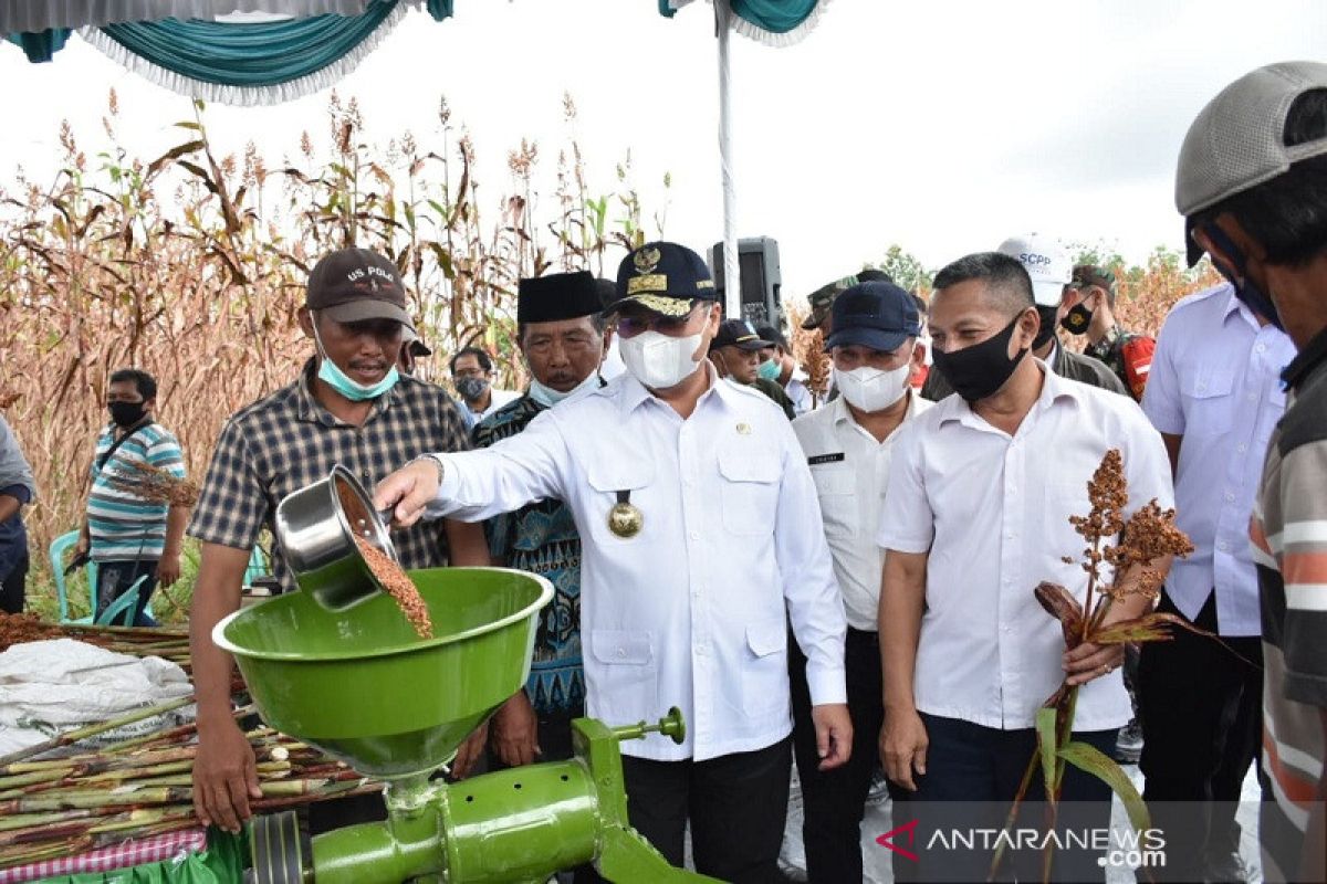 Mengubah bekas tambang timah jadi lahan produktif