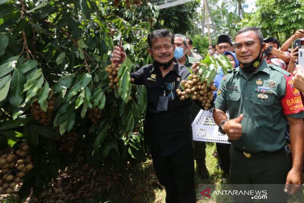 Menteri Pertanian mendorong pengembangan agrowisata buah