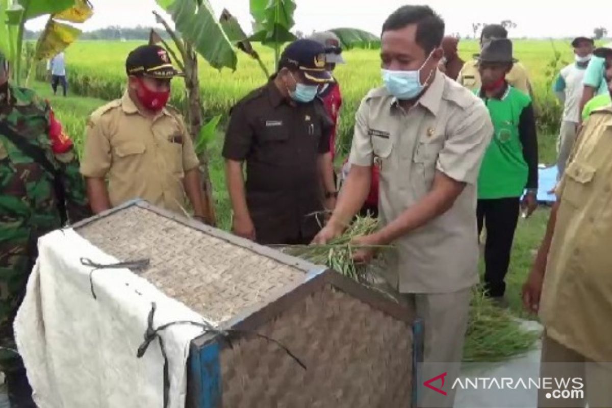 Pemkab Ngawi jaga kestabilan harga gabah jelang panen raya