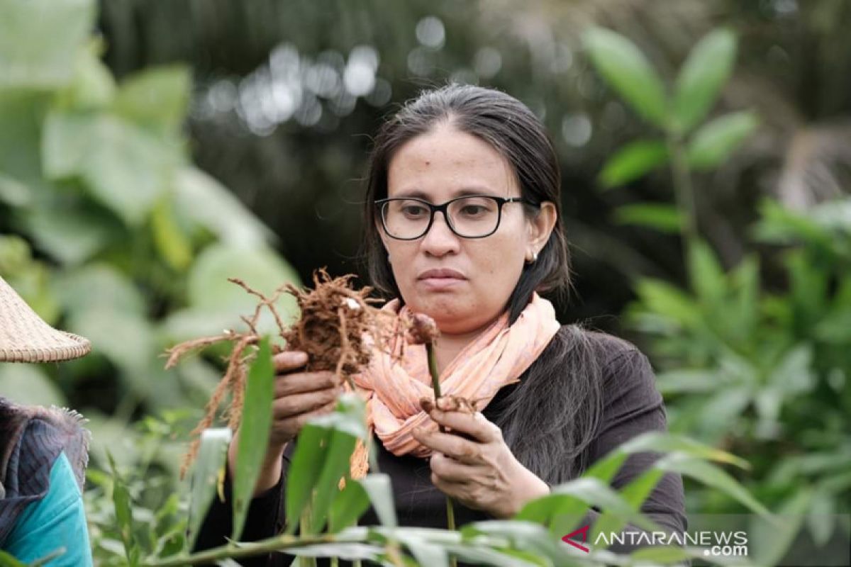 Aktivis: Perempuan harus dijamin kemerdekaannya pada sektor agraria