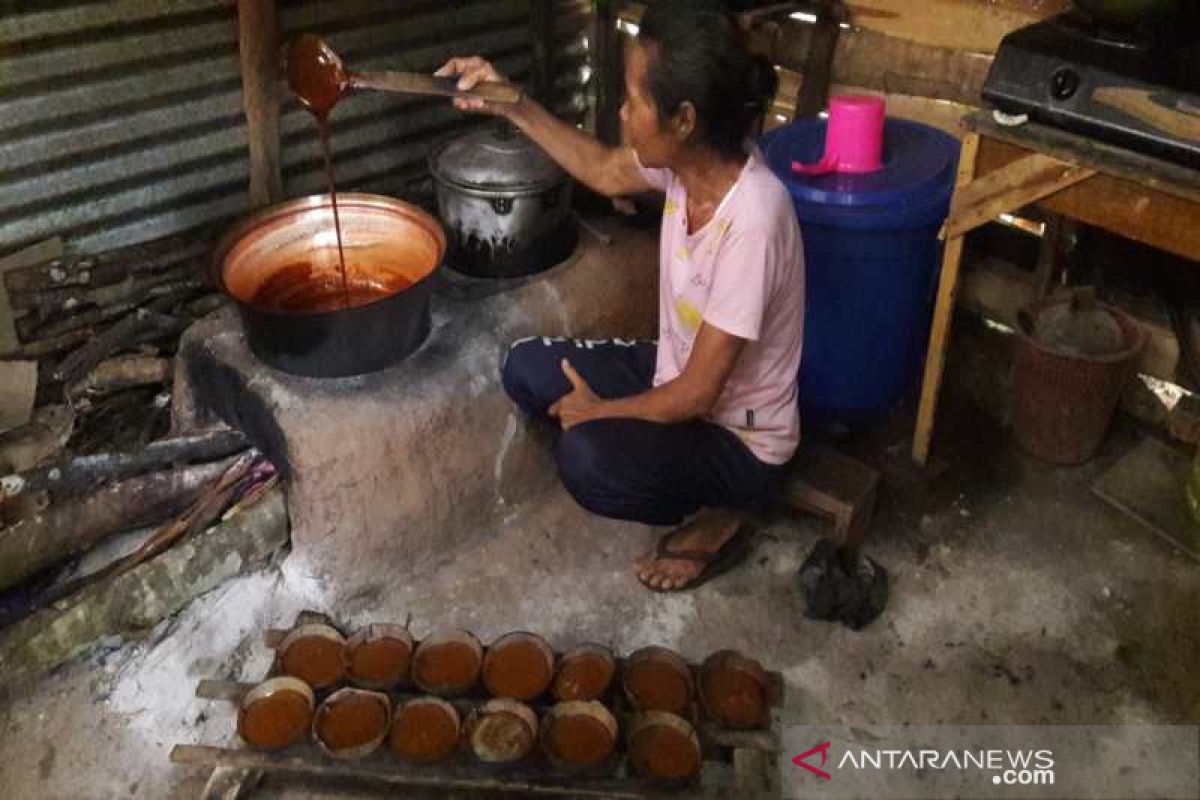 Akademisi kaji potensi gula aren Kotabaru