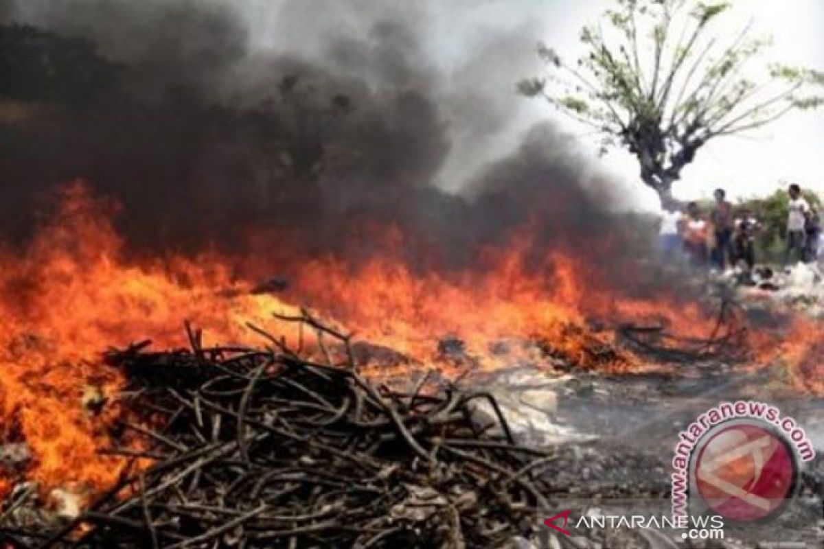 Polda Riau tahan 8 pembakar hutan dan lahan