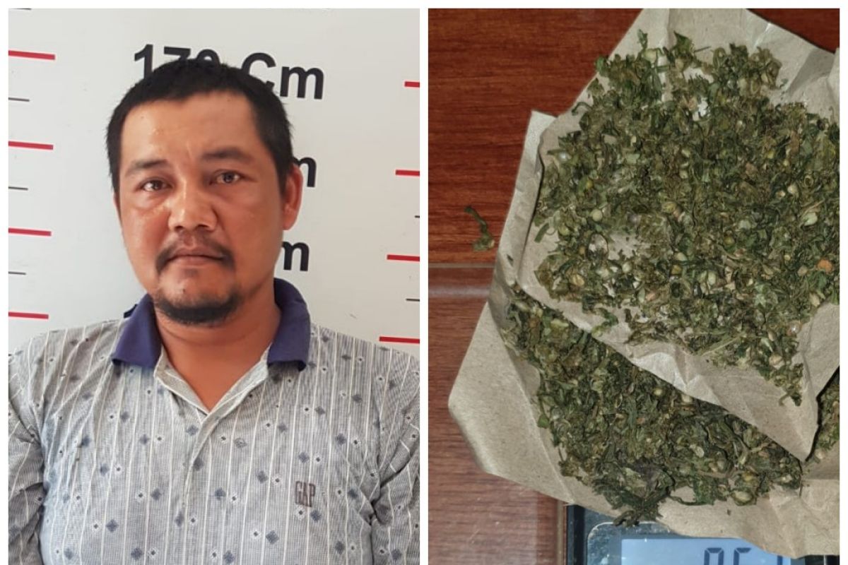 Polsek Pangkalan Susu tangkap Dedi pemilik ganja